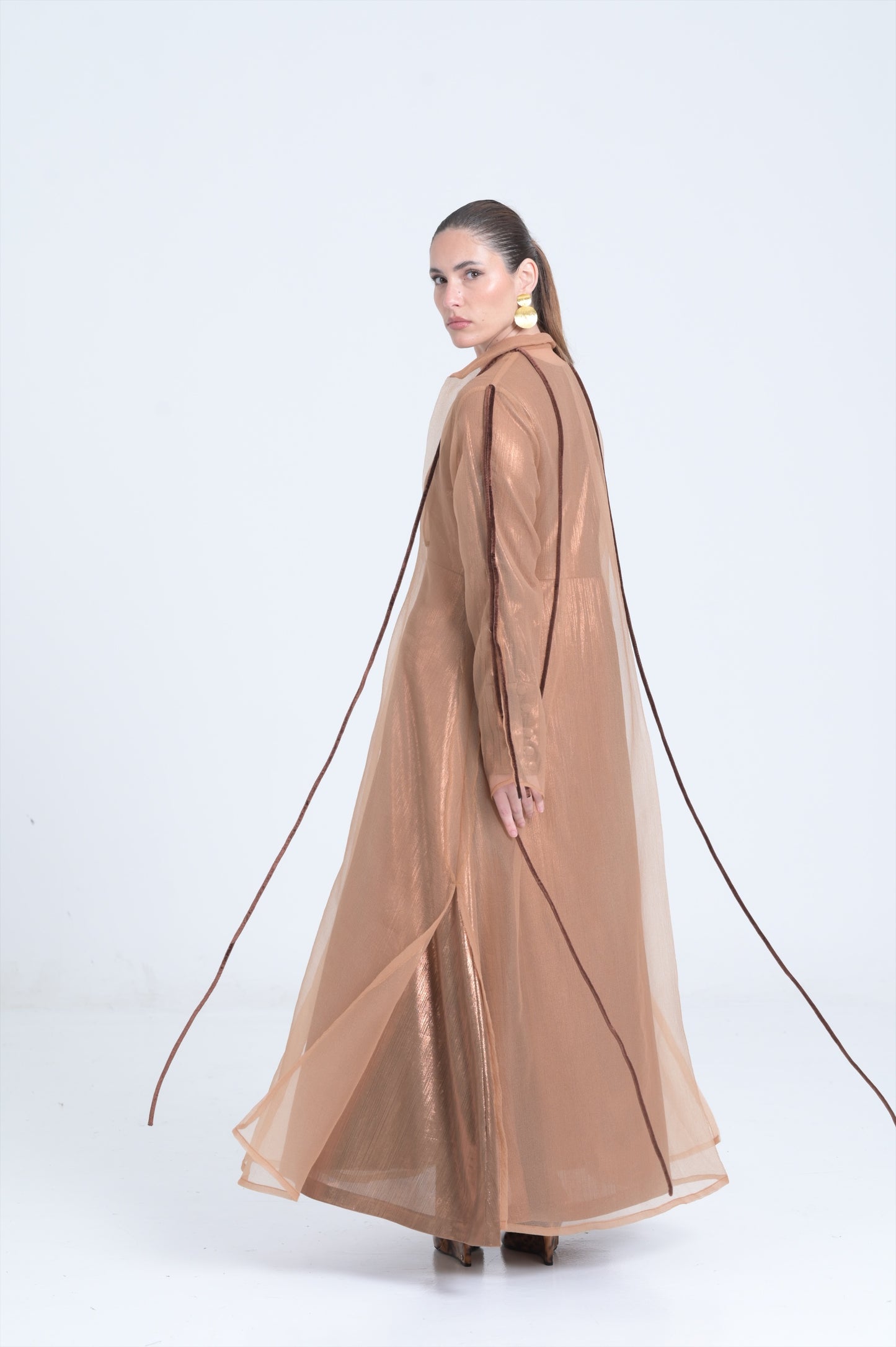 Brown shimmer long dress